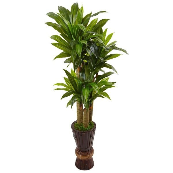 5 ft. Cornstalk Dracaena Plant in Wooden Planter, Nearly Natural, Mfr#: 6957